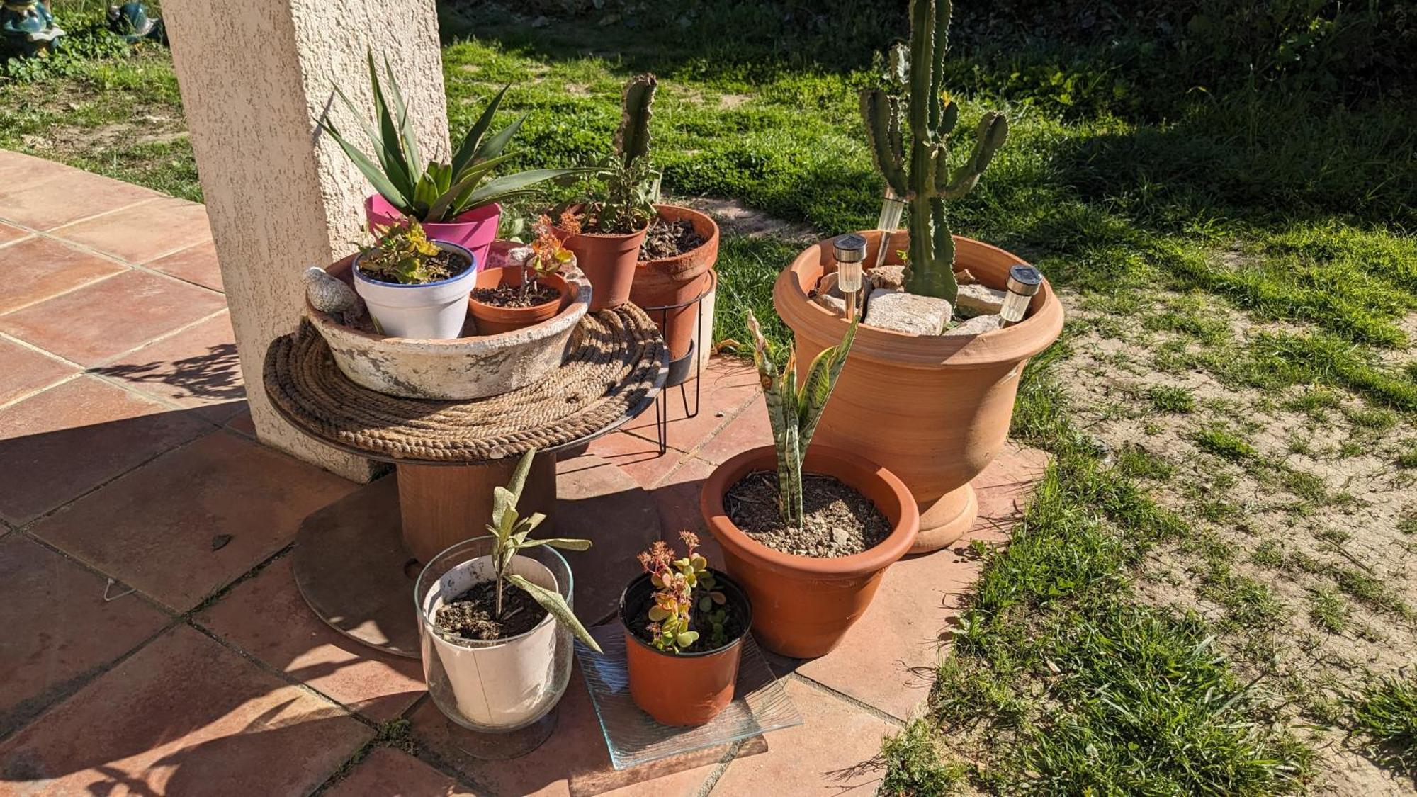 Maisonnette Kalis Calme Avec Climatisation Parking Jardin Cadre Campagne Plages A Pieds Bandol Exterior foto