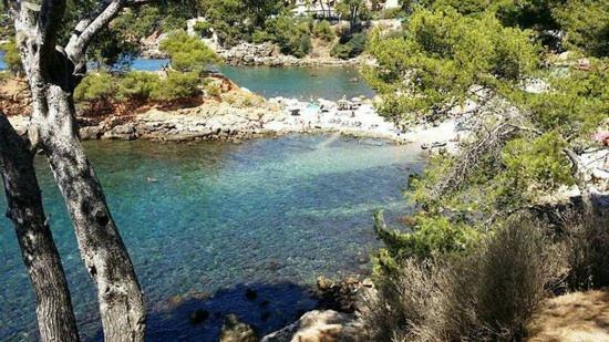 Maisonnette Kalis Calme Avec Climatisation Parking Jardin Cadre Campagne Plages A Pieds Bandol Exterior foto